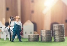 3,373 Budget-Milliarden für Bauern, Forst, Ländlichen Raum, Breitband