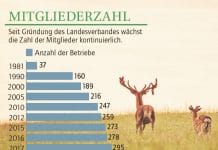 Wild: Nische mit Potenzial