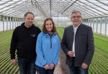 Mehr Regionalität soll auf die Kantinenteller