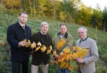 EU-Budgetkommissar auf Schadholz-Lokalaugenschein