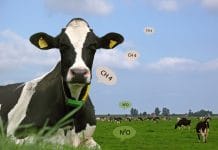 EU-Abgeordneter Bernhuber kritisiert EU-Methanstrategie