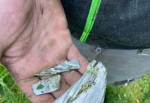 Dreister „Bauernhasser“ in Geboltskirchen am Werk