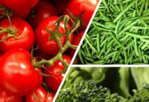 Michael Gohn ist neuer Präsident von Euroseeds