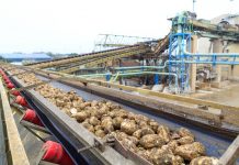 Agrana startete die Rübenkampagne 2021