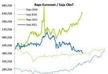 Terminmarkt International im September – Raps, Weizen und Mais liefern monatlich neue Preisrekorde
