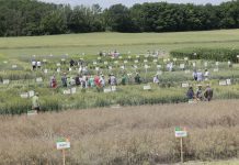 Saatgut Austria: Klimawandel bedeutet Sortenwandel