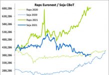 Terminmarkt International im November – Volatiler Raps, schwächerer Weizen, abwartender Mais