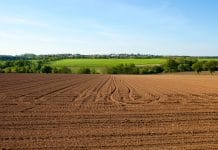 EU-Bodenstrategie: „Von Grund auf problematisch“