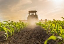 Ackerbau befürchtet dramatischen Abstieg in der neuen GAP-Periode