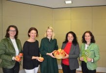 Heimischer Apfel besser als Birne aus Südafrika