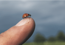 Modulsystem bringt Bio deutlich mehr Flexibilität