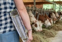 Wer wird bäuerliche Unternehmerin?