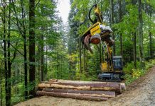Wald gezielt nutzen und Markt im Blick behalten