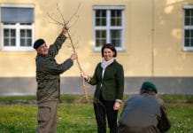 580 Bäume für besseres Klima