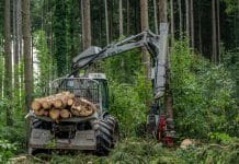 Ohne Bioenergie drohen Waldverwüstung und Atomkraftwerke