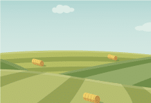 Green Deal-Folgen: 140 Mrd. Euro weniger Pflanzenproduktion