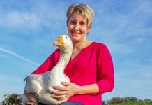 Unternehmens-Erfolge mit Mut und guten Ideen