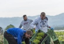 Neue Regelung für Stammsaisonniers