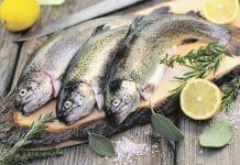 Für Festessen zu Fisch aus der Region greifen