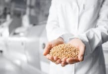 Nein zu Bäcker-Forderung nach Getreide-Exportstopp