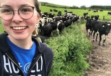 Praktikum im Ausland: Die Landjugend hilft