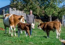 Faire Abgeltung für die Milch