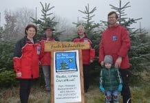 Trotz Lockdowns: Verkauf von Christbäumen erlaubt