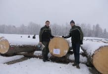 Nadel-Wertholzsubmission mit unerwarteten Preisen