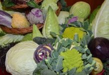 Wintergemüse: Gutes Jahr, teils große Nachfrage