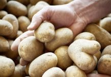 Die Gemeinschaft als Erfolgsrezept