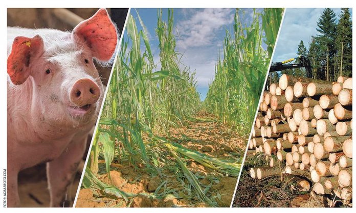 Das Jahr 2022 bedeutete für alle Branchen der Landwirtschaft ein Auf und Ab.