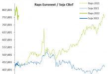 Terminmarkt International Jänner ’22 – Raps und Weizen im Minus, Mais stabil