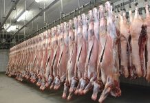 Am Rindfleischmarkt wird weiter eine positive Preisentwicklung erwartet