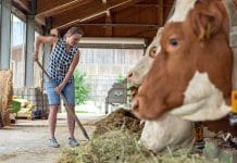 LHStv. Geisler im Neujahrsinterview: „Im Großen und Ganzen zufrieden“