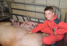 Die Produktion wird verteuert