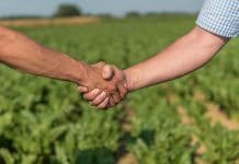 Unfaire Praktiken: Hilfe bei „David gegen Goliath“