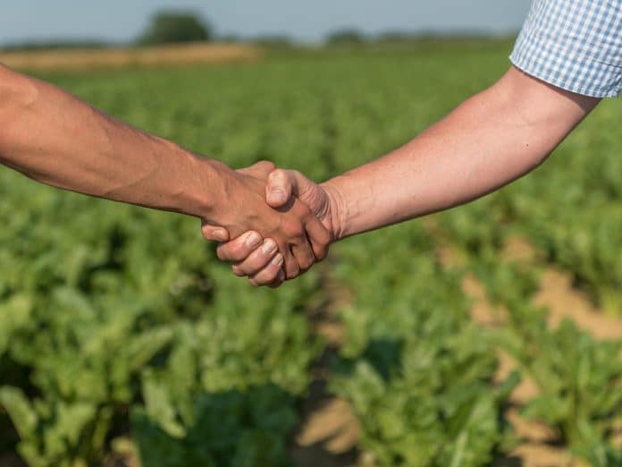 Ein Handschlag allein ist oft zu wenig für faire Geschäfte.