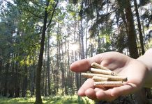 Zuschüsse für Heizungsmodernisierung