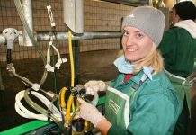 Sicheres Praktikum: Kontrolle der Betriebe kommt allen zugute