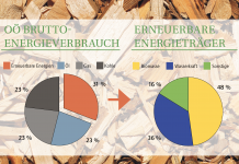 Biomasse als Schlüssel zur Energiewende