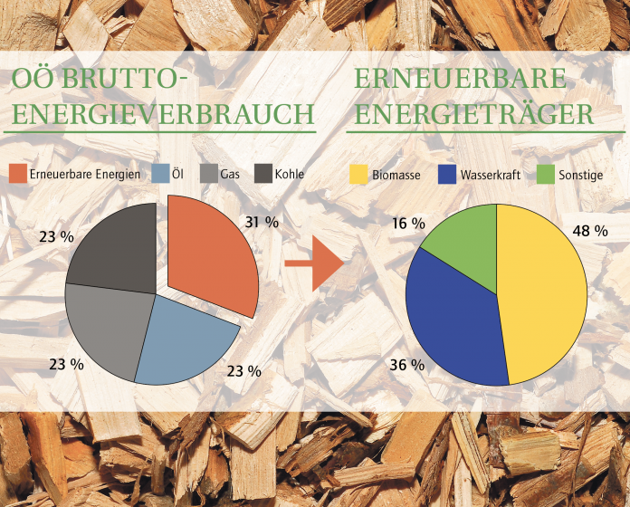 agrarfoto.com; grafik: bz/lechthaler; quelle: Energiebericht 2020