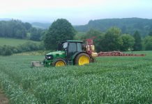 Green Deal: Preise steigen, bäuerliche Einkommen sinken