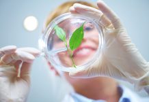 Wettbewerb für innovative Ideen zum Bio-Pflanzenschutz