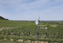 Mit “warndienst.at” zur richtigen Zeit die richtige Dosis