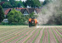 Höchste Qualität durch Pflanzenschutz