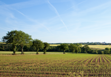 GAP 2014-2022 versus GAP 2023-2027