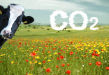 CO2-Ausstoß in der Landwirtschaft gesunken