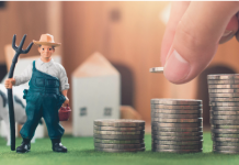 Produktionskosten überschatten das Einkommensplus