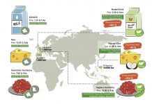Ist vegane Ernährung nachhaltig und regional? – ein Faktencheck klärt auf