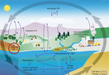 Zwischen Euphorie und Ernüchterung